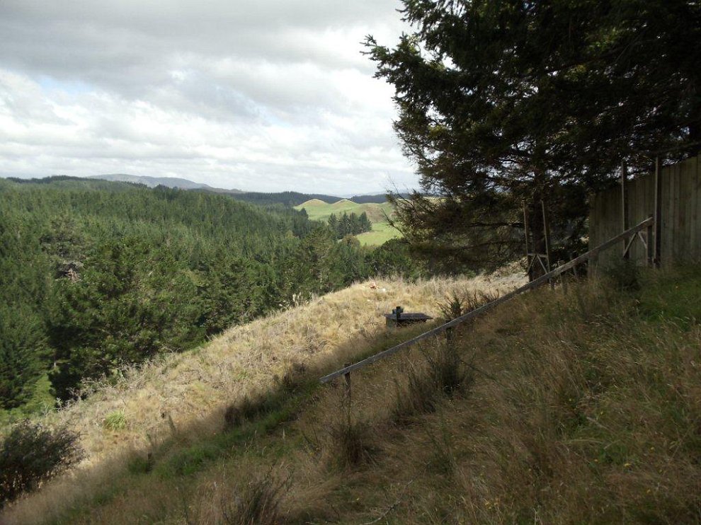 DSC00101 - Copy - Copy.jpg - This shot is looking toward field three. Targets thrown from the side of the hill go out over the trees in the back ground for a couple of hundred yards.